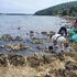 Onečišćena obala Gornjeg Kamenjaka. Ekipe od jutra na terenu (foto)