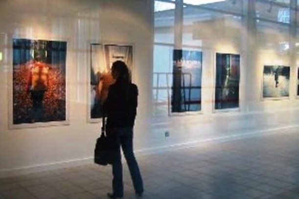 U Galeriji Sincich otvara se izložba šestorice likovnih umjetnika s područja Istre i Kvarnera