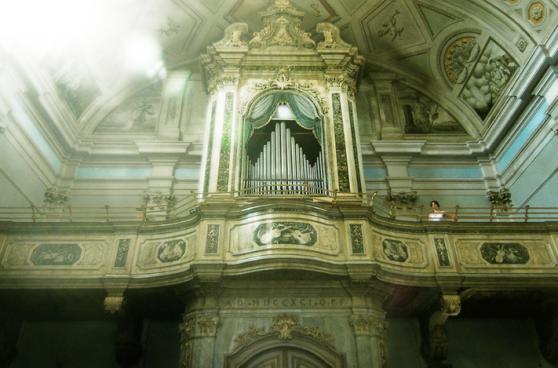 Orgulje u Župnoj crkvi Sv. Servula u Bujama