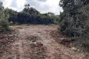 Očišćeno najveće ilegalno odlagalište otpada u gradu Puli
