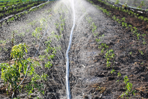 Odlična vijest za pulske poljoprivrednike! Od veljače jeftinija voda