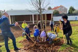 Diriana, Macan i djeca zasadili 20-ak stabala na području Vodnjana