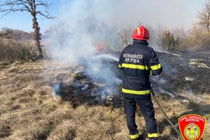 U požaru u Orihima izgorjelo šesnaest hektara trave i raslinja (foto)