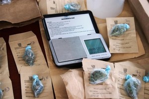 Mladić u Poreču prijavljen zbog preprodaje marihuane