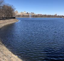 Jezero u Central Parku