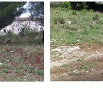 Monte Giro kod tvrđave prije i nakon čišćenja
