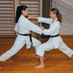 Sm 82577 karate 2