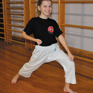 Sm 82579 karate 4