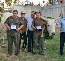 Nagrađeni vlasnici sa svojim volovima, Antonom Klimanon, načelnikom Kanfanara Sandrom Jurmanom i županom Valterom Flegom
