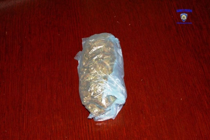 Ukupno je pronađeno oko 835 grama droge (Foto: PU istarska)