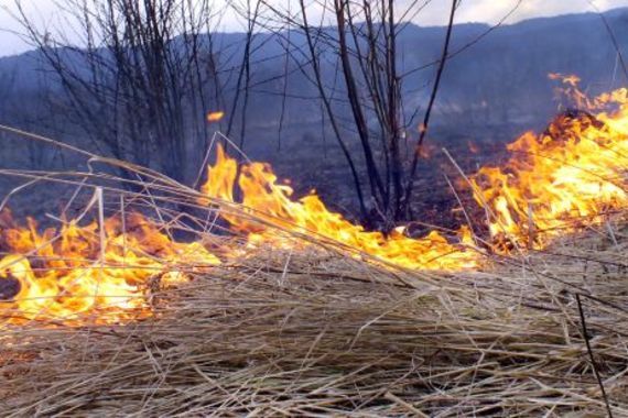 Požar uz Medulinsku cestu izazvao stariji poljoprivrednik