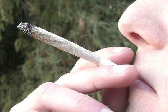 Komentar: Marihuanu treba legalizirati