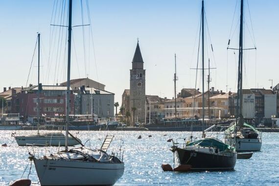 Umag dobio novac za sadnju 115 stabala