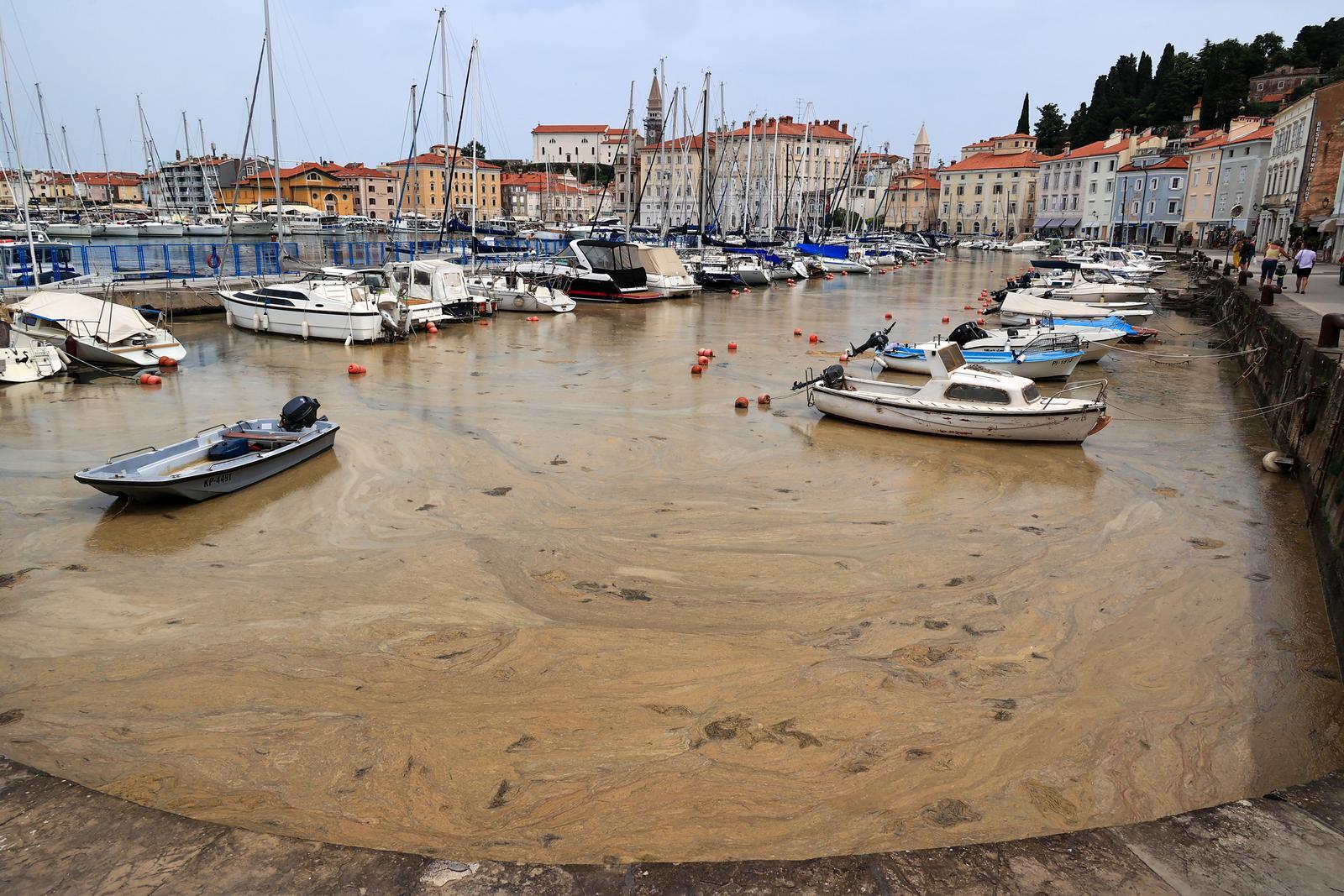 Ovako je danas izgledalo more u Piranu (Foto: Goran Rovan/Pixsell)