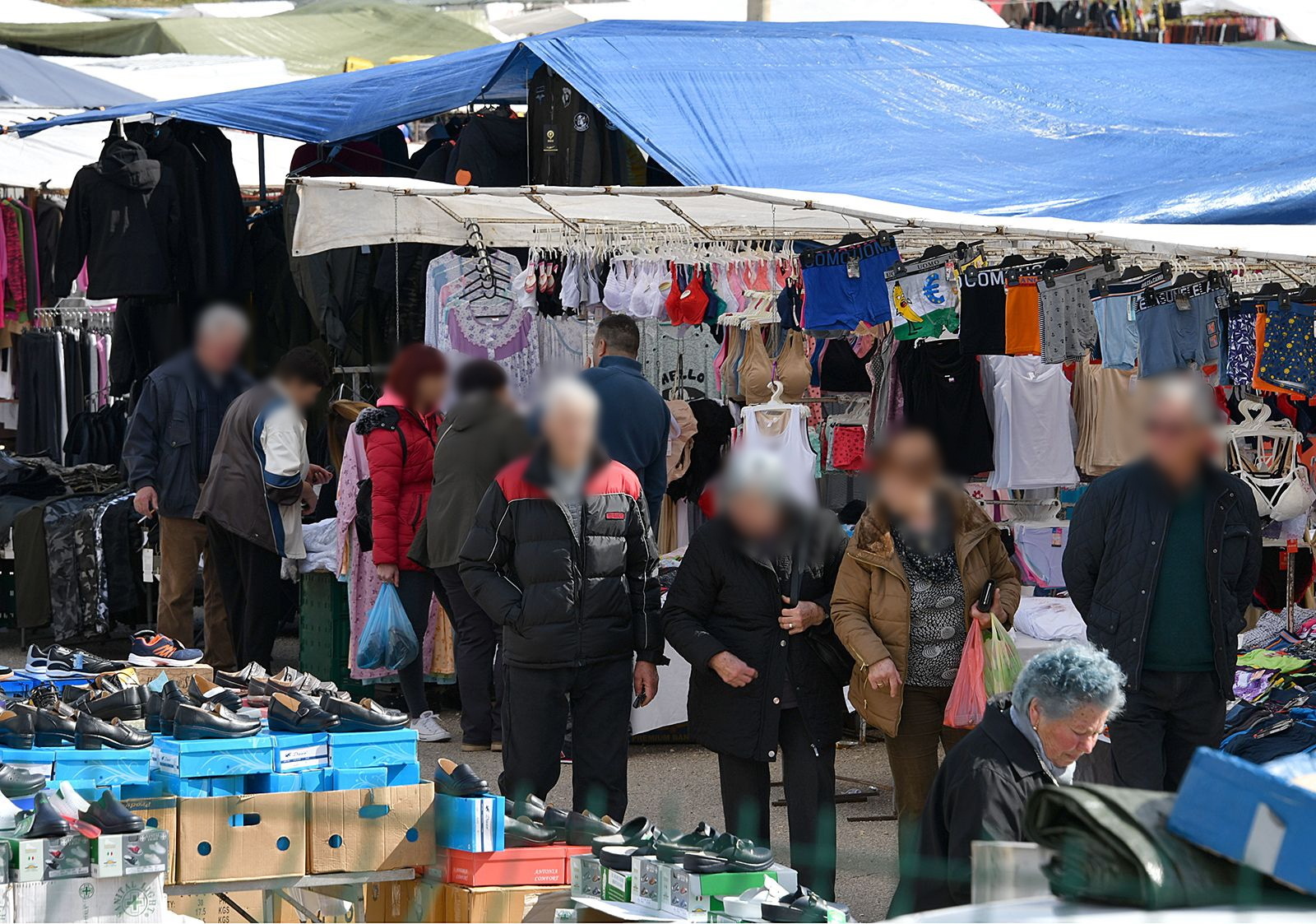 Ilustracija: sajam u Žminju 2018. godine (foto: Roberto Matković) 