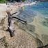 More na Materadi prekriveno debelim sluzavim naslagama (foto i video) 