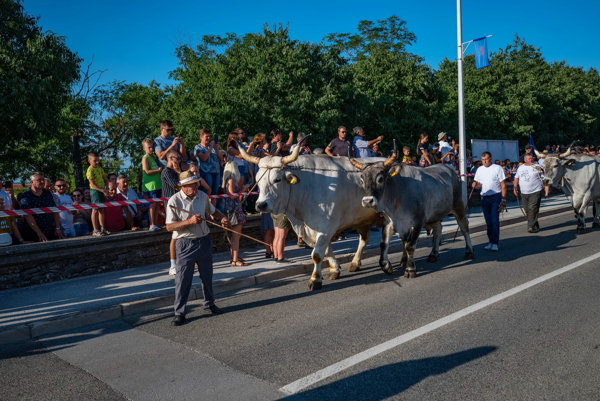 S prošlogodišnje manifestacije