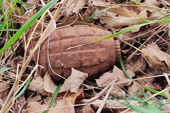 Čistila kuću i pronašla - bombu