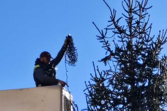 Na Portarati opet osvanula tradicionalna jelka. Pogledajte kako je ukrašavaju