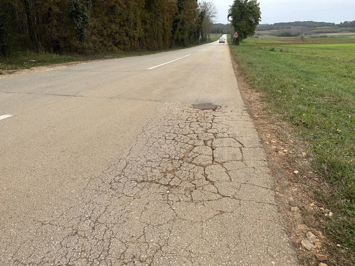 Cesta Vižinada-Kaštelir (Foto: Nenad Čakić)