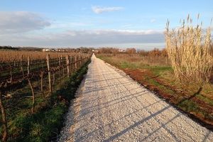 U Novigradu novi kilometri biciklističkih staza