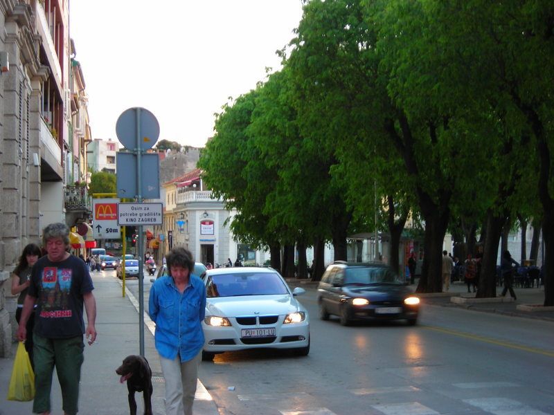 Predmetnom regulacijom prometa preusmjeravat će se sva vozila koja dolaze iz pravca Zagrebačke ulice prema Giardinima u Dobrichevu ulicu