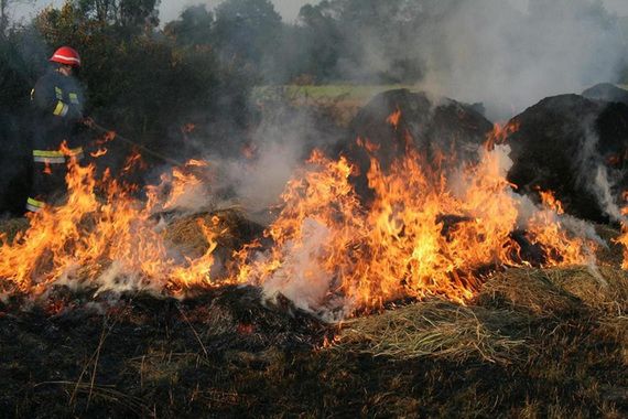 Rovinjsko selo: Palila travu pa izazvala požar