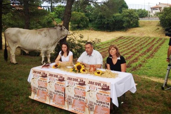 U Kanfanaru započinje tradicionalna manifestacija Jakovlja 