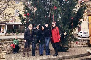 Ručno ukrašeni bor i ove godine u Višnjanu