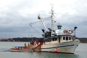 Polovica istarskih ribara dvoumi se oko scrapinga, slanju broda u rezalište uz potporu EU
