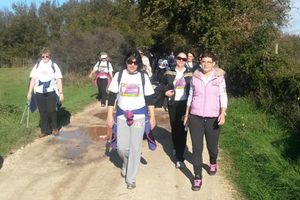 Klub žena IDS-a Puljštine organizira akciju čišćenja plaže Valovine