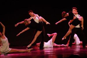 Plesni stuido Art Dance u ponedjeljak predstavlja završnu plesnu produkciju