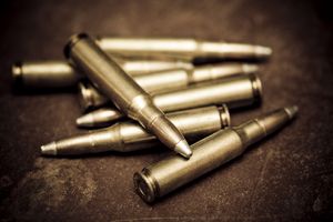 Buje: Policiji dragovoljno predao 57 puščanih metaka