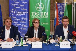Miletić: IDS traži i želi više Europe