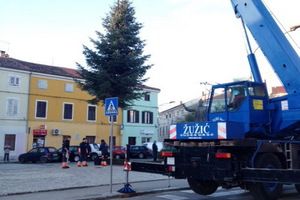 Poreč: Božićne jelke stigle na Trg Joakima Rakovca i u Červar Porat