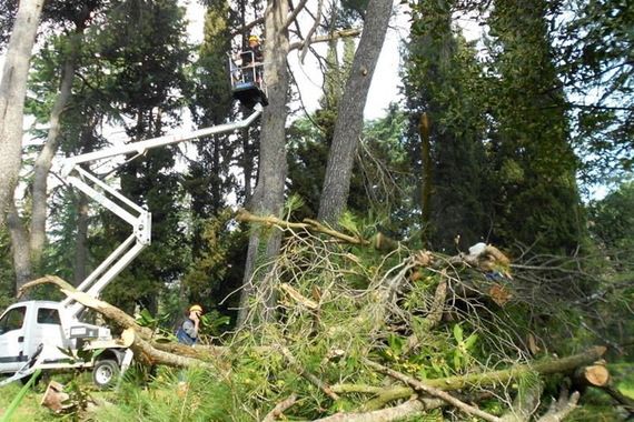 250 volontera uljepšalo ambijent i okružje rovinjske bolnice