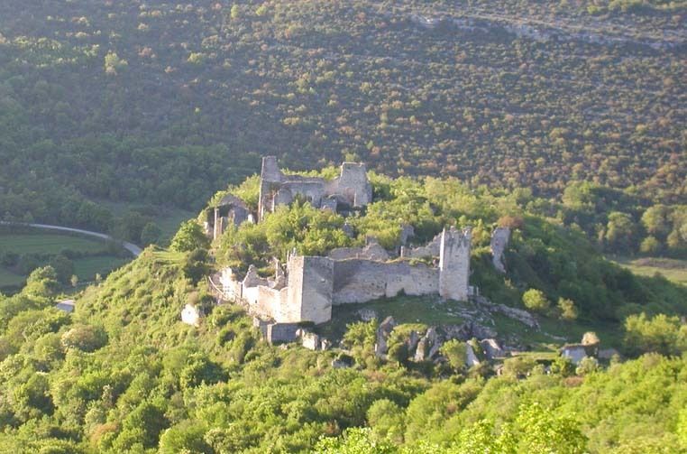 Zidine napuštenog Dvigrada (Foto: Općina Kanfanar, Udruga Dvegrajci)