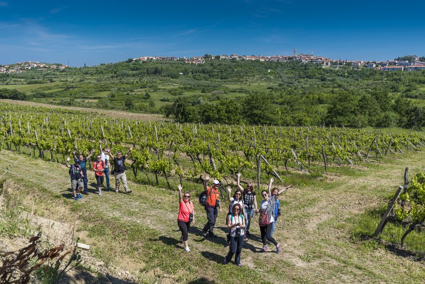Uspješno okončan drugi po redu Istria Wine & Walk