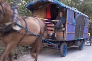 Španjolka putuje Istrom na konjskoj zaprezi s troje djece, kozom i kokošima