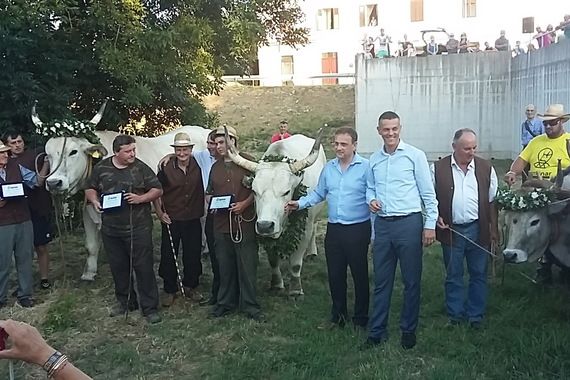 Na Jakovlji u Kanfanaru izabrani najljepši boškarini i najukusniji fuži