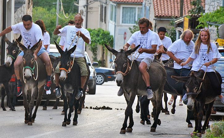 Utrka magaraca jedan od popularnijih događaja fešte u Brtonigli