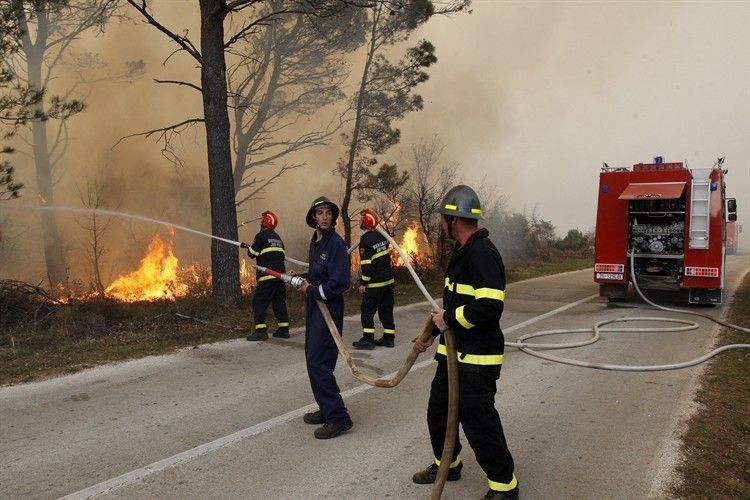 Požar kod ceste Vodnjan-Barban (Tportal)