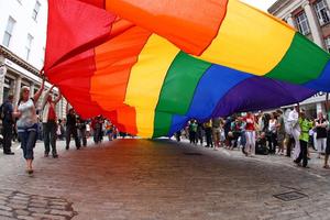 Gay paradu u svom gradu ne bi podržalo 38 posto anketiranih Istrana a 46 posto nema ništa protiv