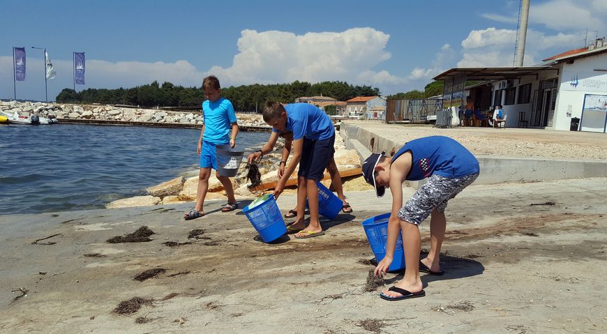 U 2016. godini projekt „Volimo Jadransko more“ usmjeren je prvenstveno prema projektima čišćenja plaža