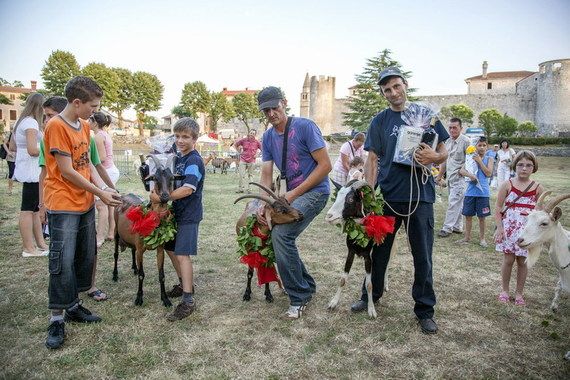 Naj koza obilježila drugi dan Festivala sira u Svetvinčentu