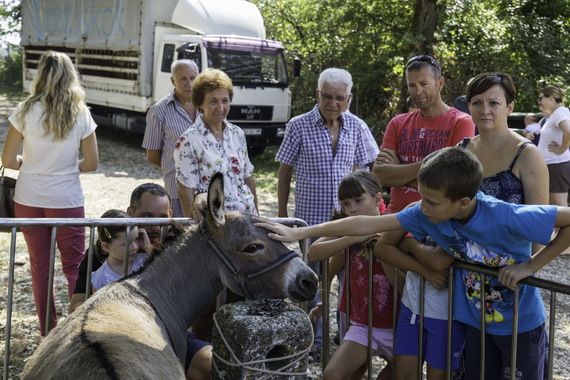 Pogledajte fotografije s najveće pučke fešte u Istri!