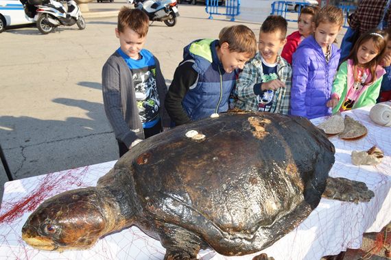 Oduševili se kornjačom Dinkom i otišli s otiskom prsta