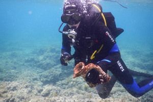 Rovinjski brodolomi: Arheolozi istražuju podmorje kod Velike Sestrice