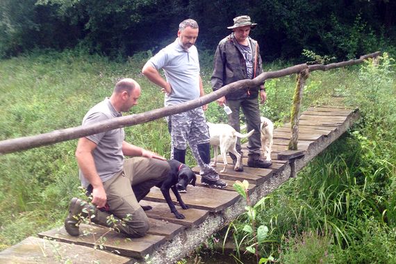 Počela sezona lova na najskuplju gljivu na svijetu (foto)