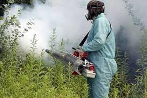 Nova akcija zaprašivanja komaraca na području Poreča